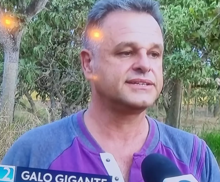 Foto de ITALO